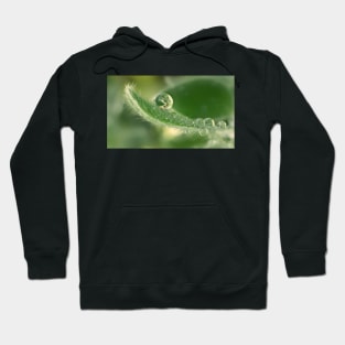 April Showers Hoodie